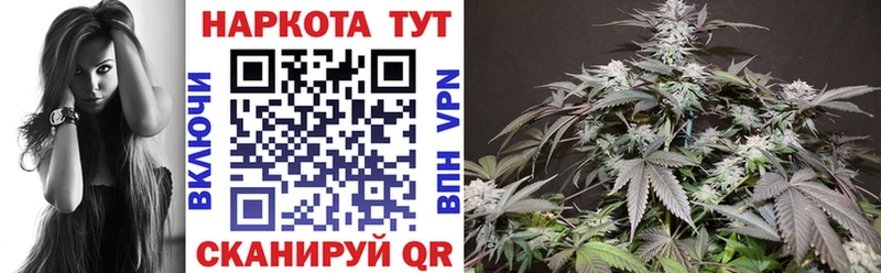 Как найти наркотики Завитинск гидра онион  КОКАИН  Мефедрон  Марихуана  ГАШИШ  Alpha PVP 