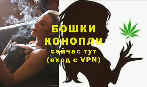 гидра Приозерск