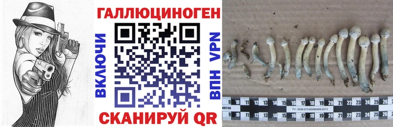 Псилоцибиновые грибы Magic Shrooms  Завитинск 